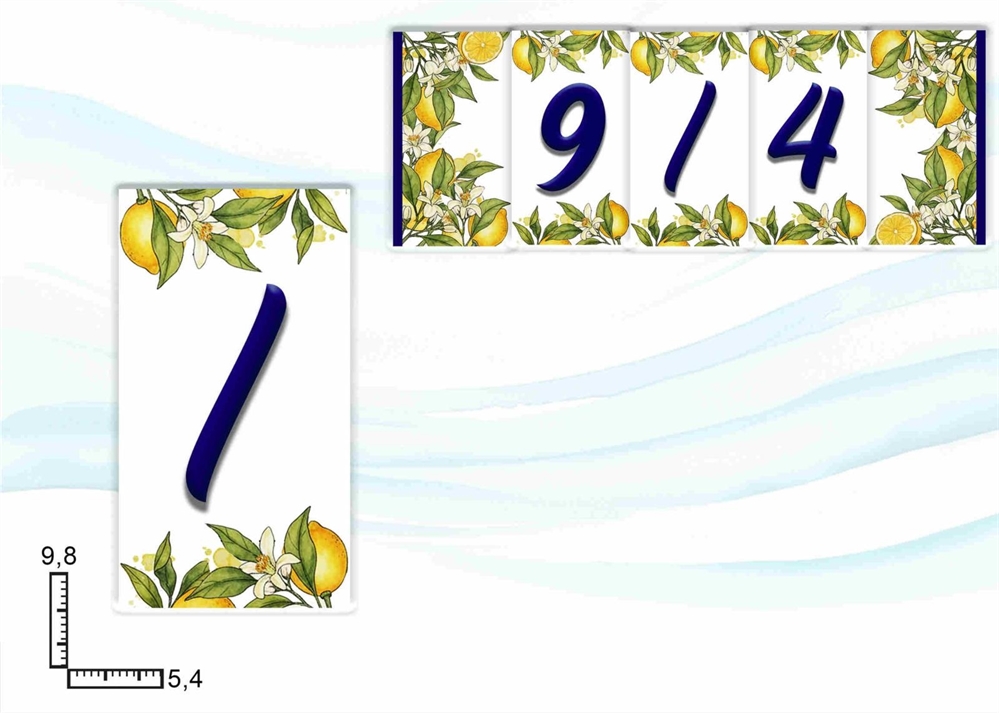 NUMERI CIVICI LIMONI BARRA