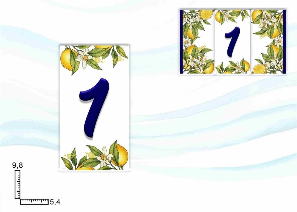 NUMERI CIVICI LIMONI NUM. 1