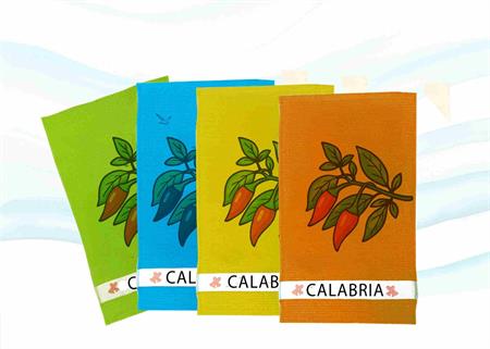 STROFINACCIO COLOR.NIDO D'APE CM60X35 CALABRIA S/4
