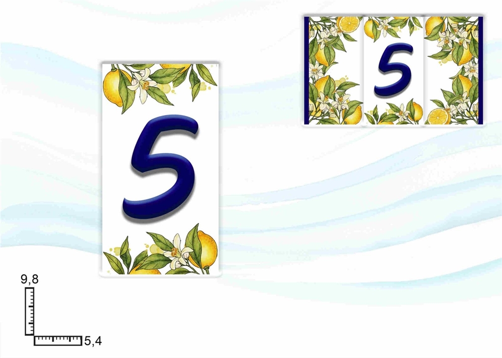 NUMERI CIVICI LIMONI NUM. 5