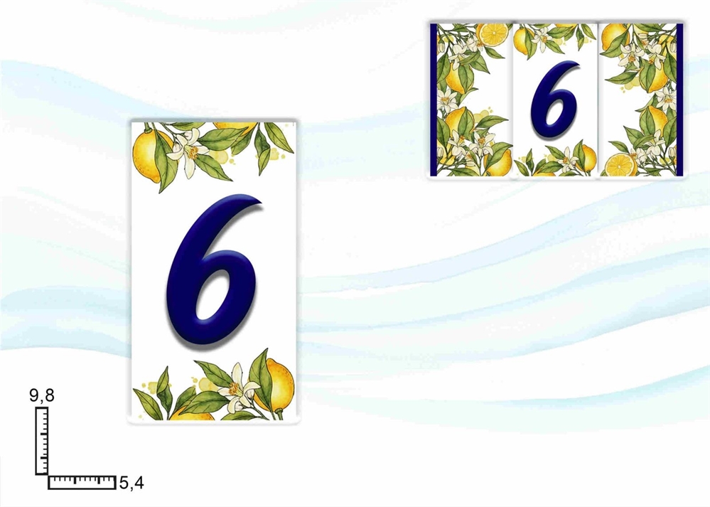 NUMERI CIVICI LIMONI NUM. 6