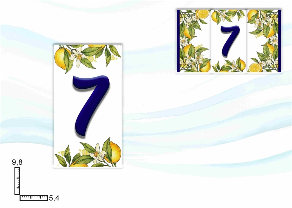 NUMERI CIVICI LIMONI NUM. 7