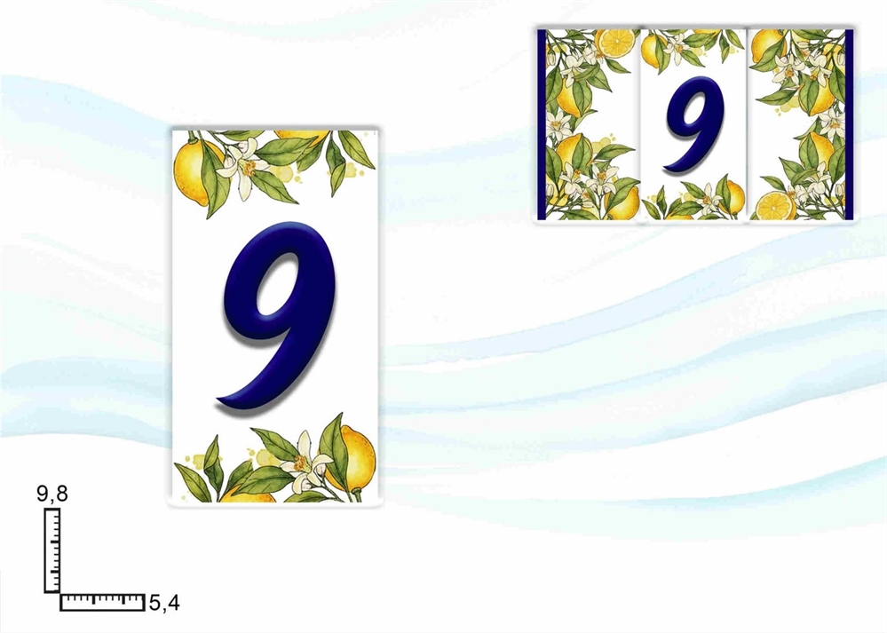 NUMERI CIVICI LIMONI NUM. 9