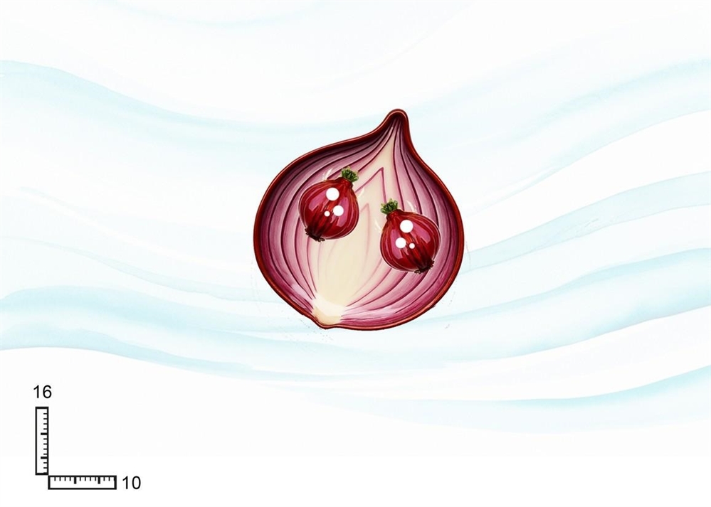 PIATTO CERAMICA F.CIPOLLA CON P/STECCHINI