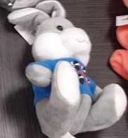 PELUCHE CONIGLIO MD C/T-SHIRT PERSONALIZZABILE