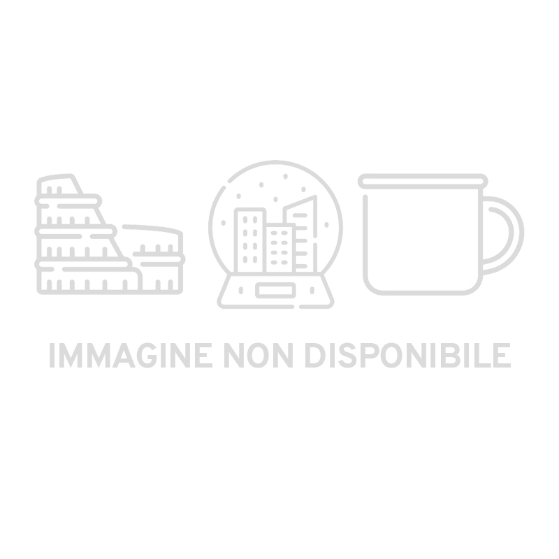 MAGNETE PESCE RAZZA S/3 COLORATO CERAMICA